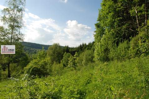 Widokowa, 1,4ha bud. z lasem, Maków Podhalański