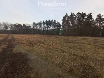 Działka budowlana z lasem, blisko autostrady A1