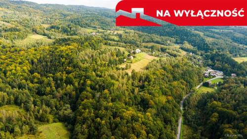 Działka rolno-leśna w Jodłówce Tuchowskiej