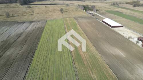 Działka rolna Ducka Wola 1,6ha