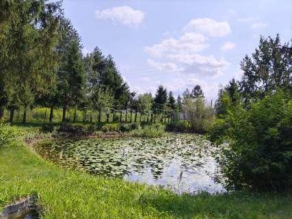 Działka na sprzedaż, 3800 m2, Kranów