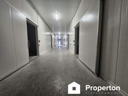 Hala 1600m2 z chłodnią Kamionna Działka 1,9 ha