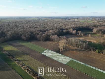 Motycz Leśny - 1412 m2 - okolice Lublina