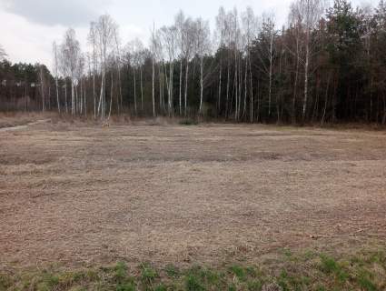 Sprzedam działkę budowlaną 15 ar