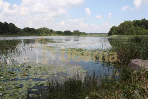 Działki nad jeziorem Dobra Nowogardzka
