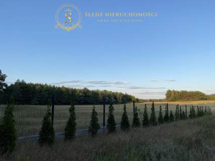 Działka 1192 m2 Las Za Płotem 