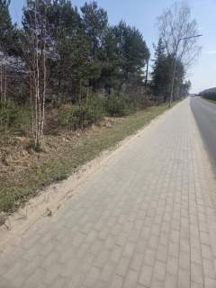 Usługowa, blisko Szosy Lubelskiej, MPZP, drzewa