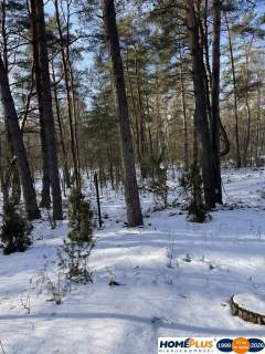 Działka budowlana w lesie, 1500 m .