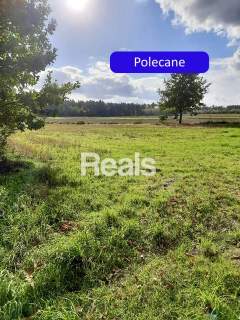 Działka siedliskowa na sprzedaż, 3000 m2, Złotopolice