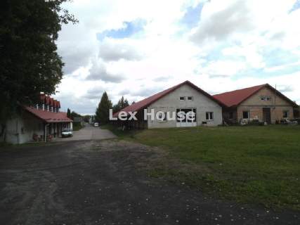 Magazyn do wynajęcia, 1400 m2, Lubieszyn