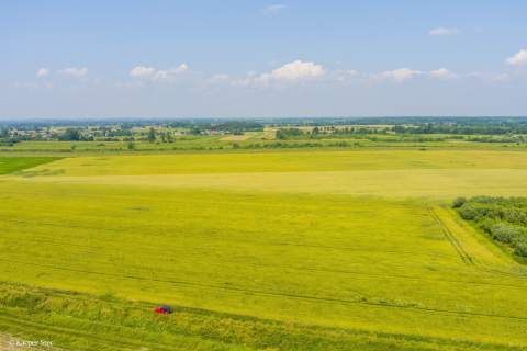 Działka rolna Szczurowa- Brzesko-Małopolska