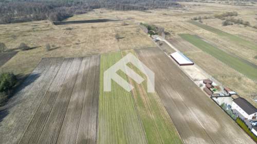 Działka rolna Ducka Wola 1,6ha