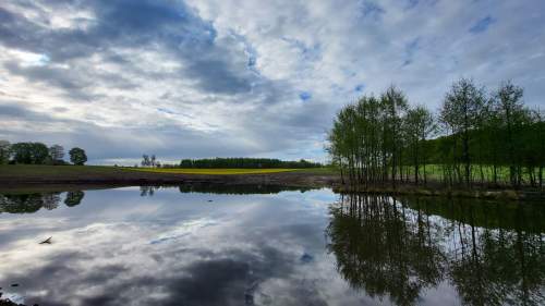 1,56 ha DZIAŁKA BUDOWLANA ZE STAWEM 0,40 ha