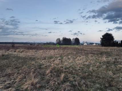 Działka w Reptowie 3022 m2