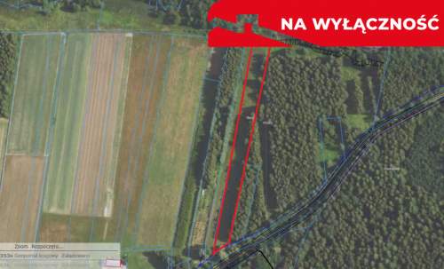 Działka budowlano-rolna 90 ar, Krzywe.