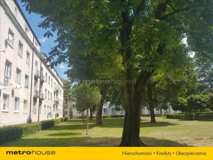 3 pokoje 78mkw/ centrum Błonia/ duży potencjał.