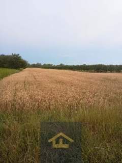 Działka w Nadbrzeżu