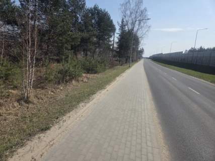 Usługowa, blisko Szosy Lubelskiej, MPZP, drzewa