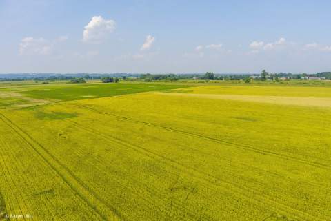Działka rolna Szczurowa- Brzesko-Małopolska