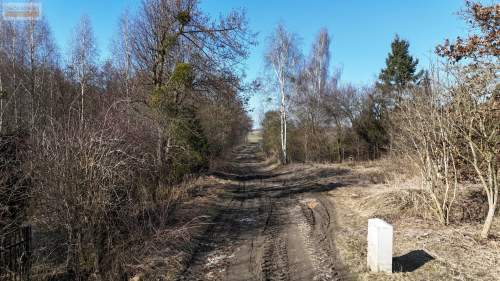 Malownicza działka na wzniesieniu pod lasem