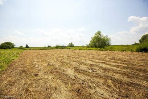 Działka rolna- Zaborów- Brzesko-Małopolska