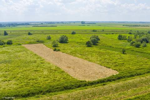 Działka rolna- Zaborów- Brzesko-Małopolska
