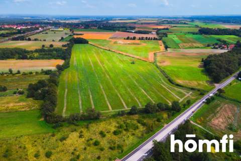 Działka inwestycyjna 11,9 ha w Mazurowicach
