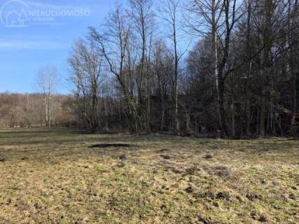 UROKLIWA DZIALKA 1,10 HA W JODŁOWEJ - OTOCZONA NATURĄ, Z P