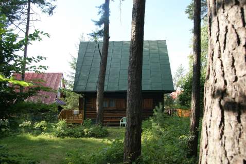 WIŚNIOWA dom letniskowy w górach, las,strumyk, 53a
