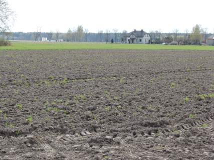 Działka nad rzeką Narew w miejscowości Gzowo