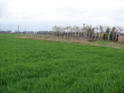 Działka nad rzeką Narew w miejscowości Gzowo