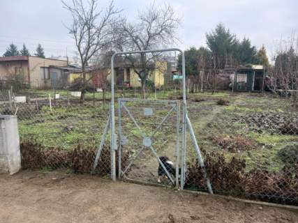 Działka ROD Leszno, Leszczynko