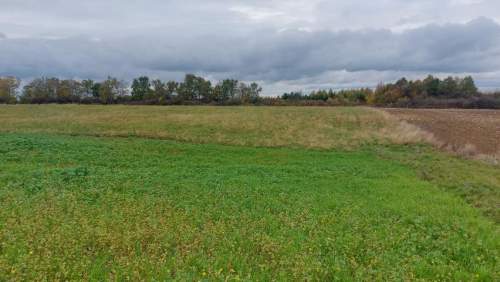 Działka budowlana na sprzedaż, 1752 m2, Góra Siewierska