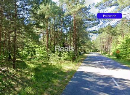 Działka 1402 m2 Narew, las, MPZP gm. Różan.