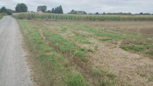 Działka siedliskowa na sprzedaż, 10200 m2, Trębaczów