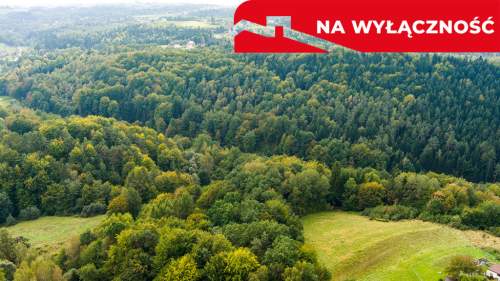 Działka rolno-leśna w Jodłówce Tuchowskiej