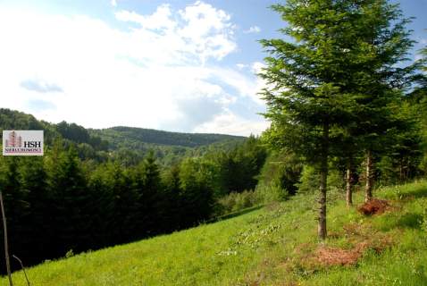 Widokowa, 1,4ha bud. z lasem, Maków Podhalański
