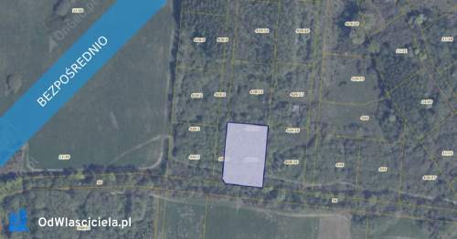 Działka 426/15 w miejscowości Pręgowo Górne
