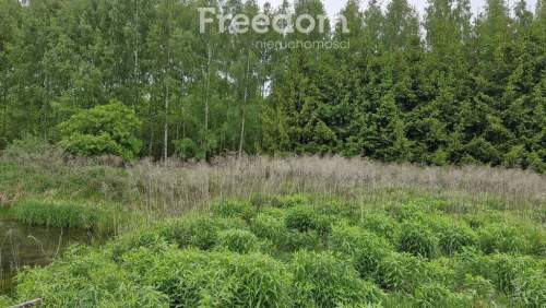 Działka ze stawem otoczona lasem Warmia Mazury