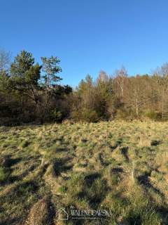 działka 1,3 ha Gardna Wielka
