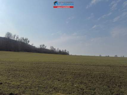 dteren inwestycyjny na sprzedaż w Czarnkowie