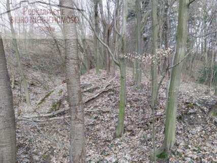 Działka leśna na sprzedaż, 14100 m2, Glinik Górny