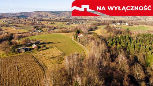 Działka leśna Tuchów