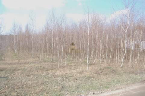 Działki budowlane Nekla 1000 m2 i 1535 m2.
