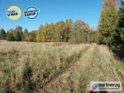 Działka 1,5ha pod zabudowę jednorodzinną - Pomlewo