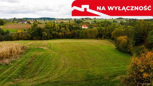 Działka Lichwinie. Rolno-leśna,   Nowa Cena   
