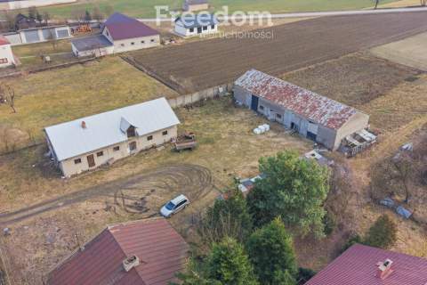 11 ha w Korytnie gm. Masłowice
