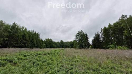 Działka ze stawem otoczona lasem Warmia Mazury