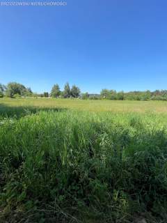 Białołęka, 900 m2, mieszkaniowa wolnostojący