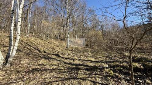 Działka 1,78ha 17 800m2 góry, inwestycyjna, Gruszków, My